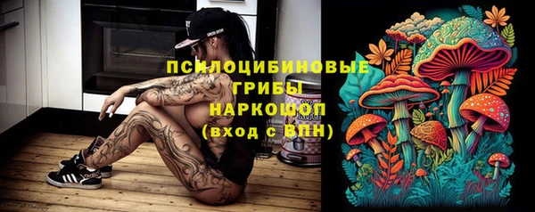 шишки Видное