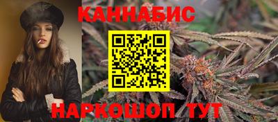 эйфоретик Аргун